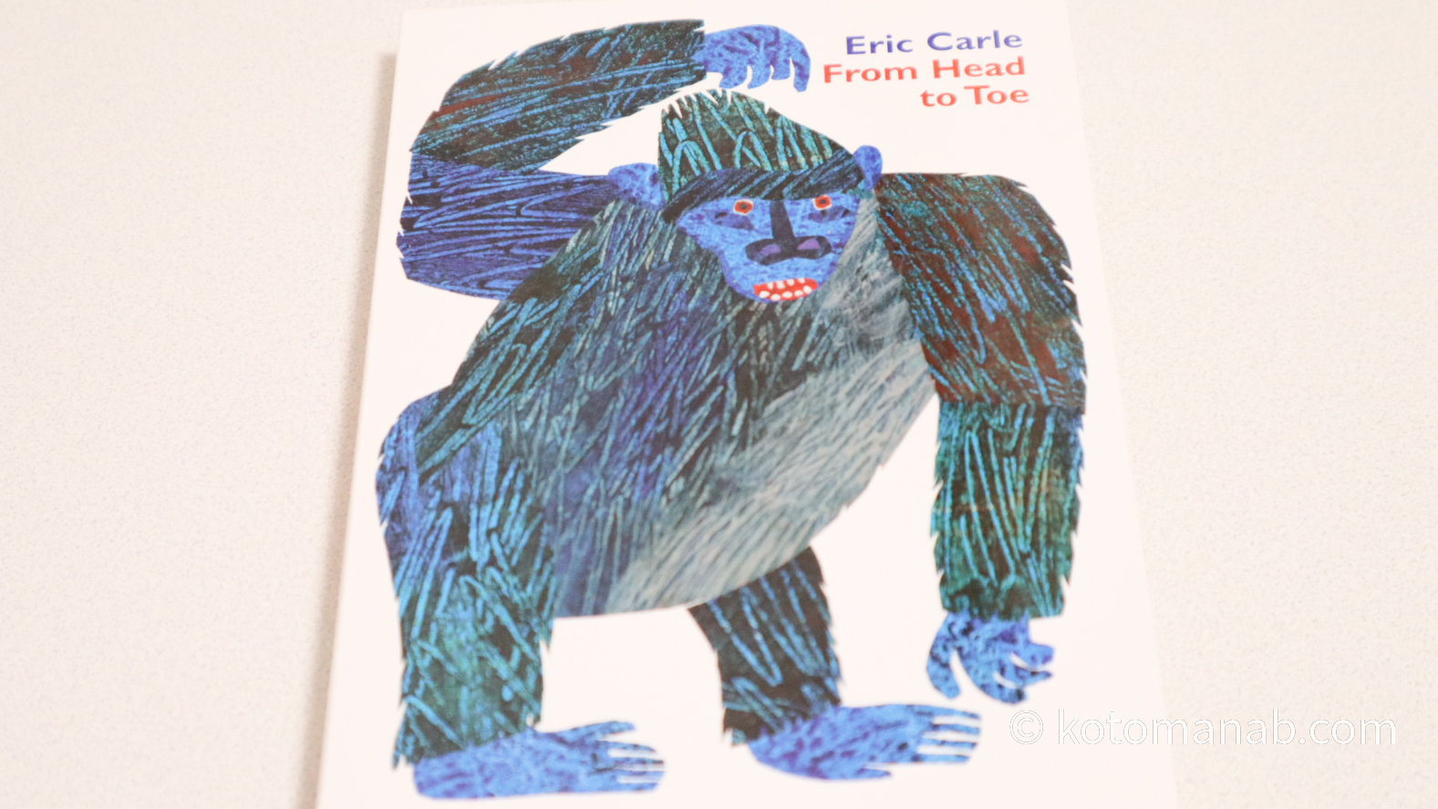 THE TOEめるページ他の方のご購入はお控えください。 体を動かしながら楽しめる英語絵本『From Head to Toe』